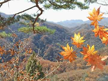 2024年12月1日