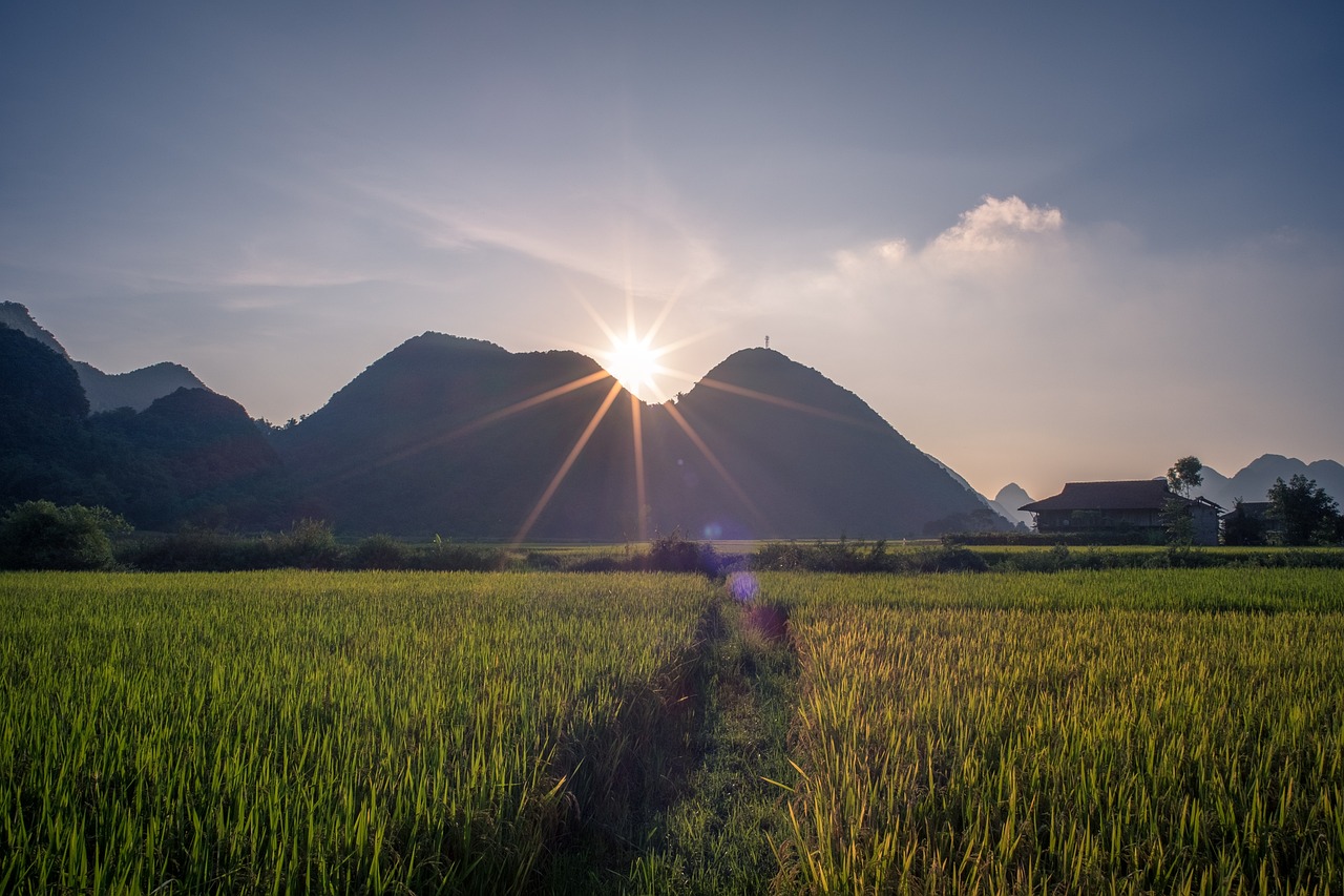 廣東省粵僑匯農(nóng)業(yè)，連接僑心與農(nóng)田的橋梁