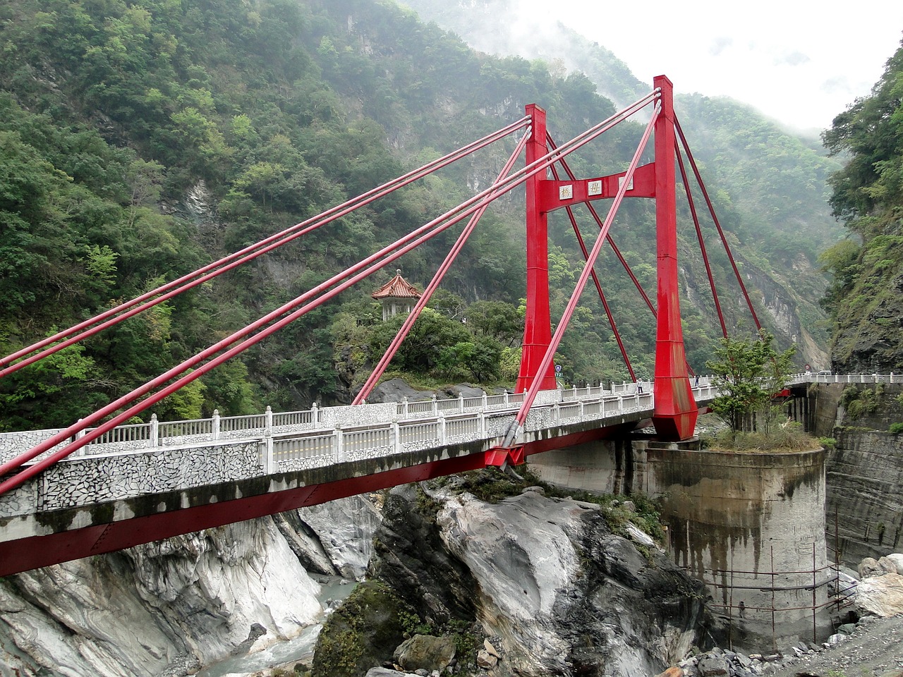 廣東省臺灣青年創(chuàng)業(yè)，追夢的熱土與跨界的橋梁